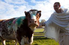 New Gokul farm at Bhaktivedanta Manor officially open thumbnail